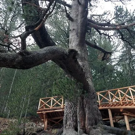 500м. от лифта сладък дом в белведере комплекс 4* Bansko