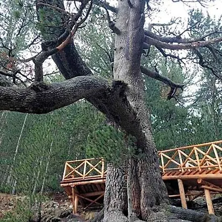 500м. от лифта сладък дом в белведере комплекс